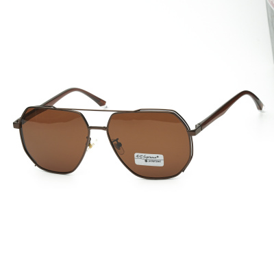 Очки мужские AC SUPREME POLARIZED P9913 C2
