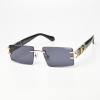 Очки женские солнцезащитные Hermes UV400 AV2495 C5